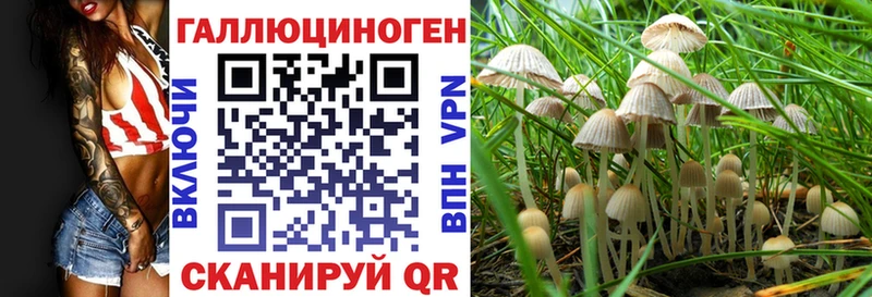 blacksprut ссылка закладки Городовиковск darknet какой сайт Галлюциногенные грибы MAGIC MUSHROOMS